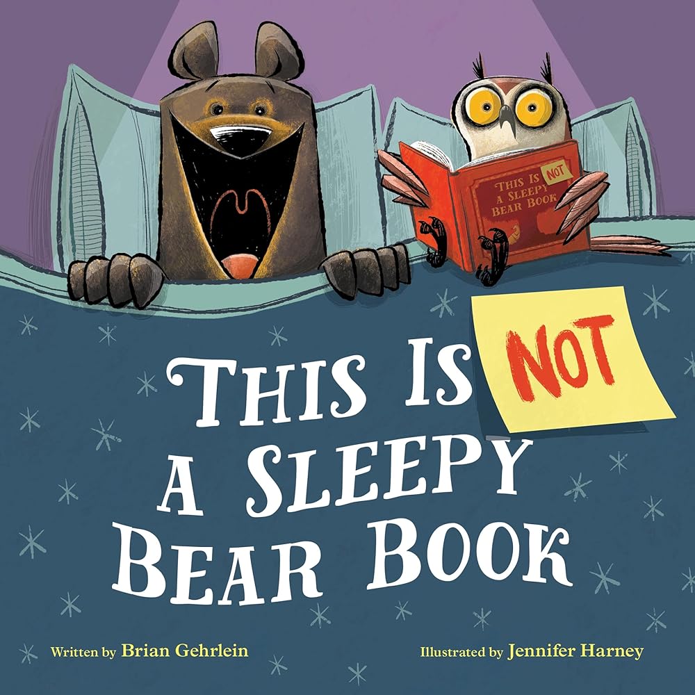 This Is Not a Sleepy Bear Book cover image