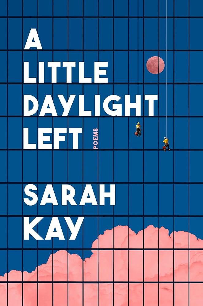 A Little Daylight Left: Poems cover image