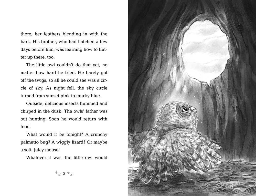 10/21/25 PREORDER: How to Save an Owl (Wildlife Rescue)