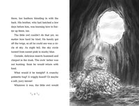 10/21/25 PREORDER: How to Save an Owl (Wildlife Rescue)