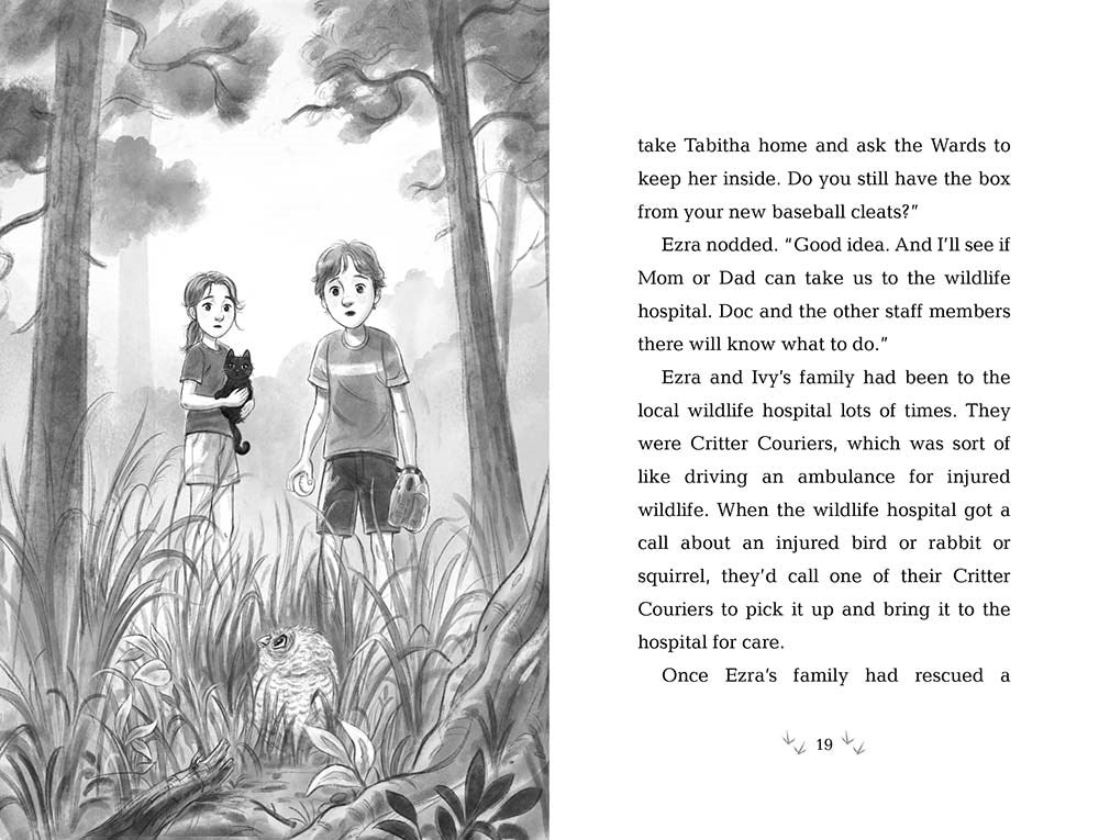 10/21/25 PREORDER: How to Save an Owl (Wildlife Rescue)
