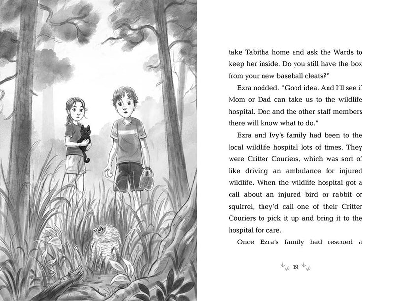 10/21/25 PREORDER: How to Save an Owl (Wildlife Rescue)