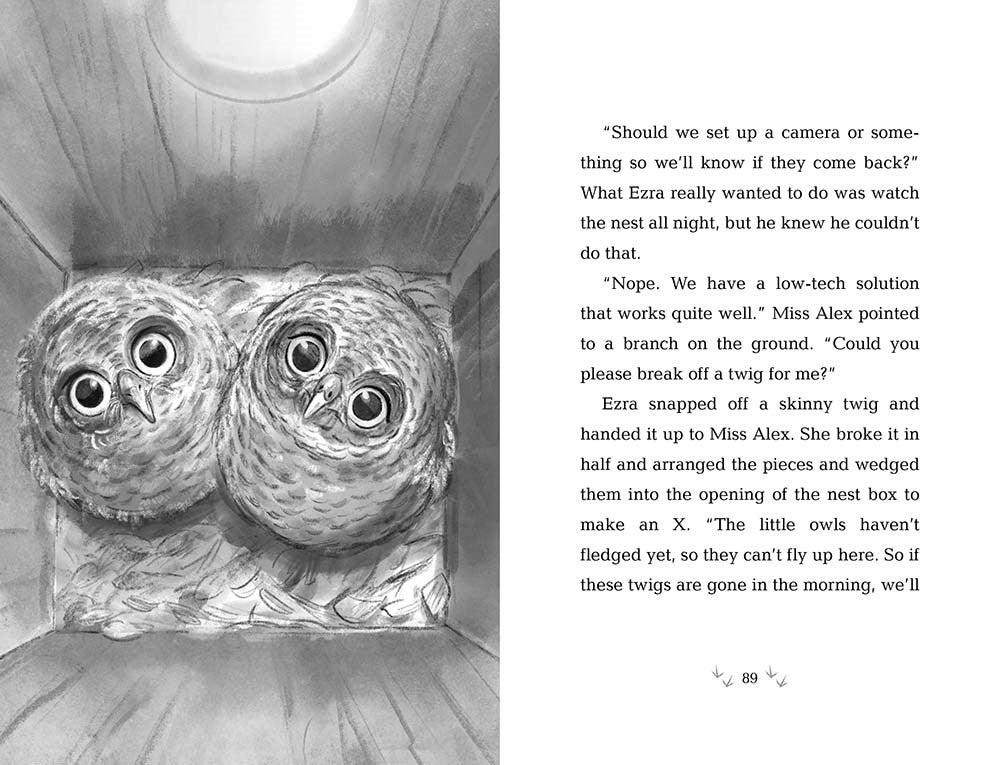 10/21/25 PREORDER: How to Save an Owl (Wildlife Rescue)