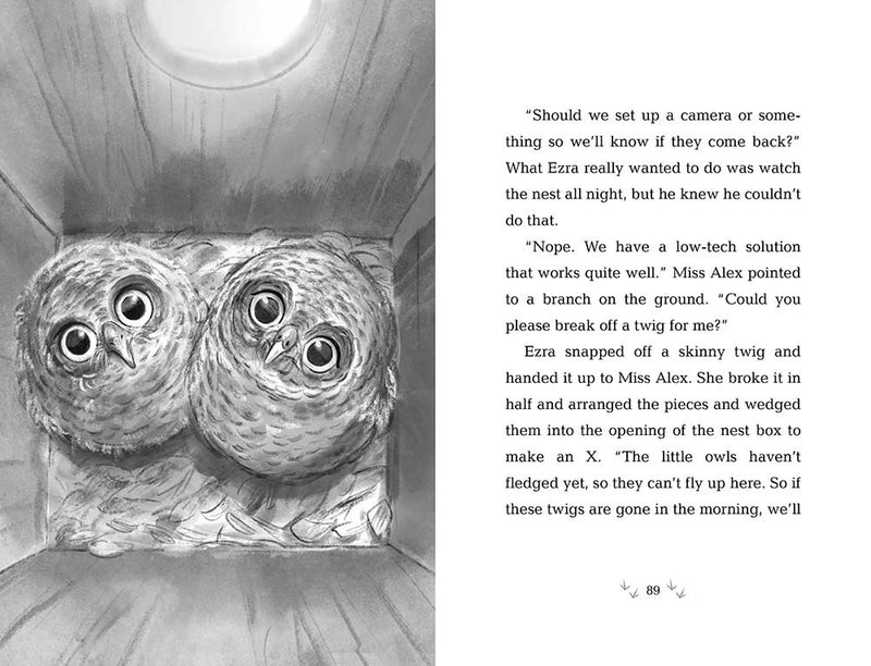 10/21/25 PREORDER: How to Save an Owl (Wildlife Rescue)