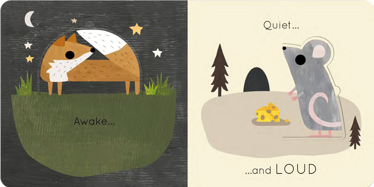 Big and Little: A Book of Animal Opposites