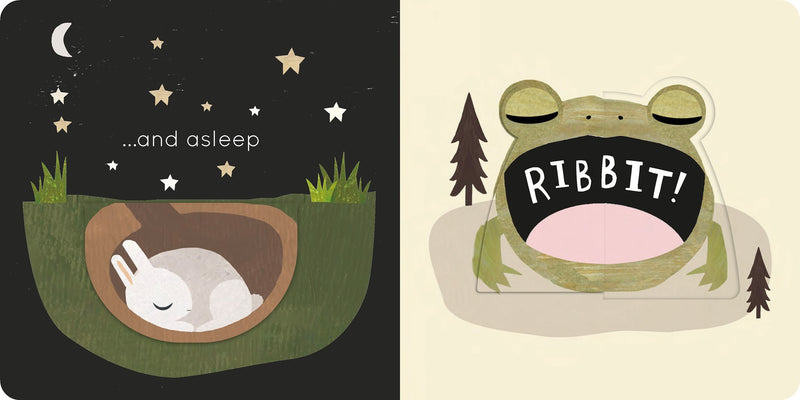 Big and Little: A Book of Animal Opposites